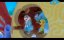 ����� � �������� (2014) / Sammy & Co - 1 �����, 29 �����