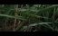 �������� ���� / PaperTiger � ������� �����-������� (2026)