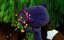 ��� � �������� ����������� / True and the Rainbow Kingdom - 1 �����, 8 �����