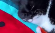 ����� �� ���� �� ������ ...