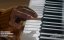   :      / Haunted Harmony Mysteries: Murder in G Major - 