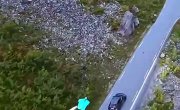 ����������� � ��� ��� �� ��
