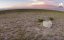     / Life Behind the Stars - 