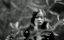      / Girl in Golden Gate Park - 