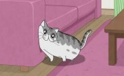    / Yoru wa Neko to Issho - 3 , 34 