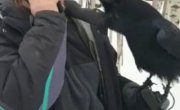 ��������� ����� ������� 2