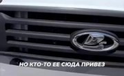 ����� ����� ����� ����� 600 000 ������