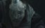  / Hypothermia - 