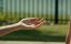 ����������� ���� / Murder RX - �����