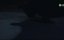     / Assassin on the String - 