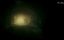 ZombiU #24 -  ,   