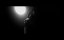 Talla 2XLC  -  Das Licht