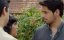 ������ ��� ��� (������ ����� � �����) / Baar Baar Dekho - �����