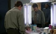   / Home improvement - 8 , 24 