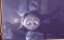  / Rose - 