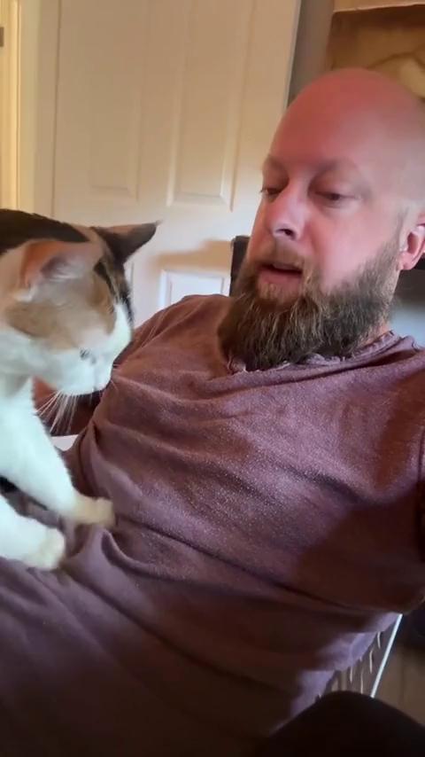������