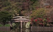 ��� ���� ����� / Des trains pas comme les autres - 4 �����, 3 ����� "������ (Japon) (7 ������� 2014)"