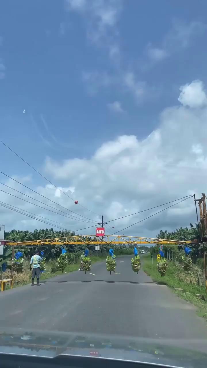 ������