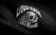 ̸    / Dead Till Death - 