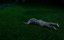   / Bonded by Blood - 