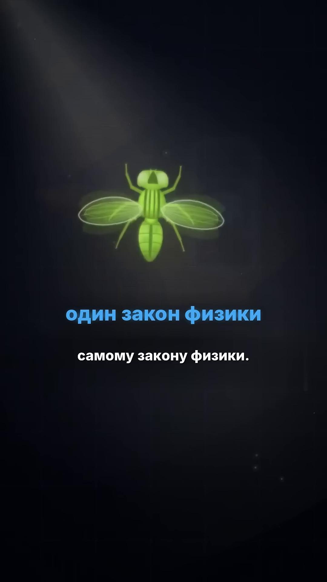 ������