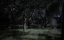   / The Institute - 