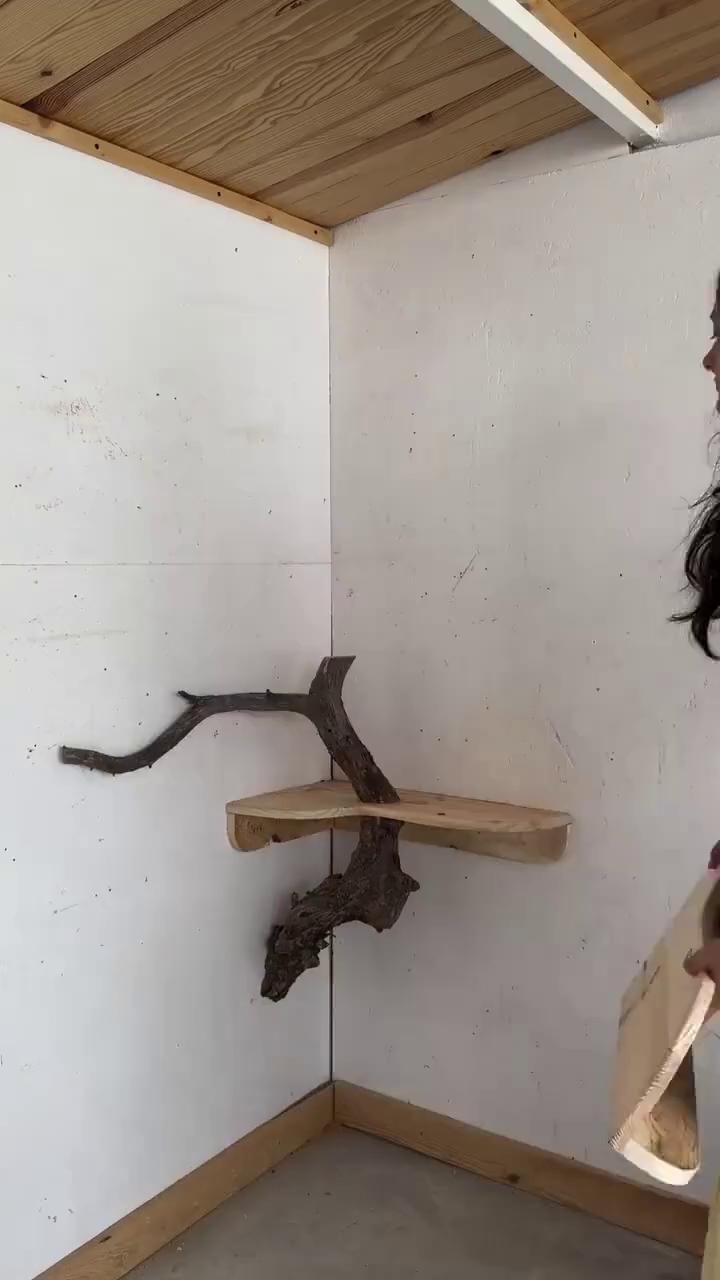 ������