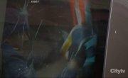 �������� ������ / Chicago Fire - 14 �����, 20 �����