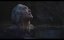   / Freeland - 