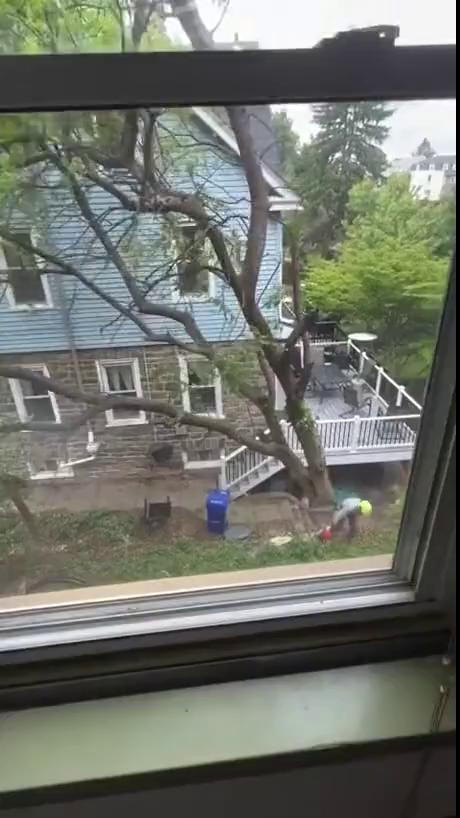 ������