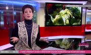  BBC. 16.01.2014.  - :     ,     