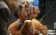 :  / Project: ALF - 
