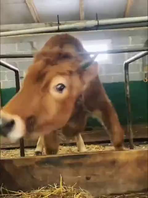 ������