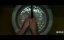  / Spiderhead - 