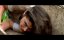 ������� ����� - Official Trailer #3 (2015)