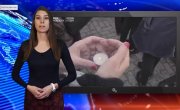   : 64  (.News)