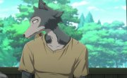 ���������� ����� / Beastars - 3 �����, 20 �����