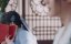 ������� ������� ��������� / Ms. Cupid in Love - 1 �����, 23 �����