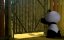 ����� � ������� ���� / Panda and Rooster - 1 �����, 15 �����