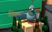 Pigeons