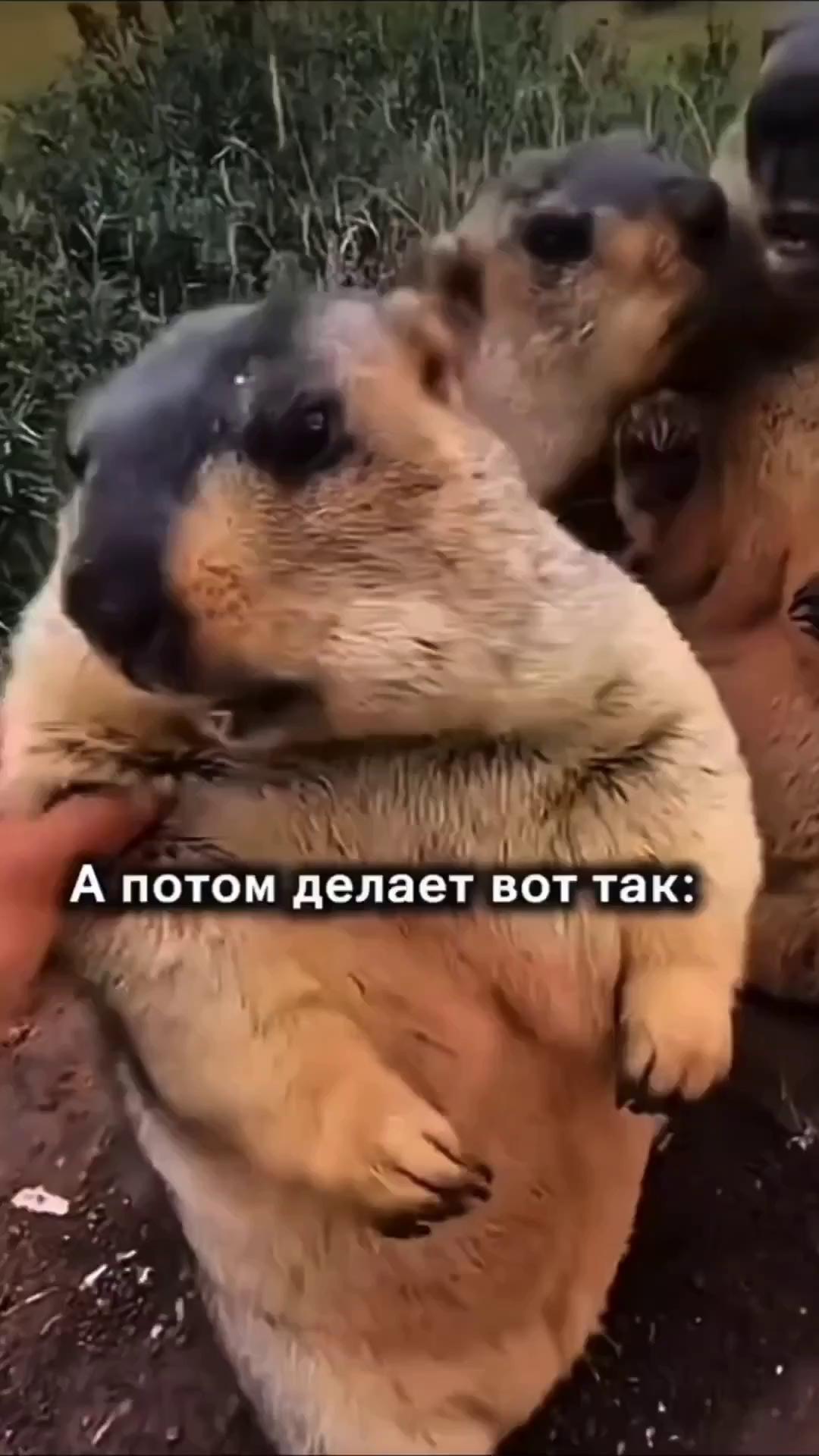 ������