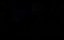  / The Collective - 