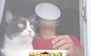 �� ����� �������� � ��������...