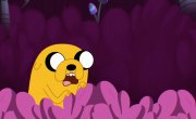 ����� �����������: �������� ������ / Adventure Time: Side Quests - 1 �����, 13 �����