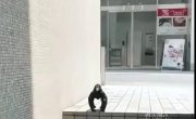 ������ �������� ...