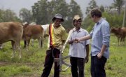 ��� ���� ����� / Des trains pas comme les autres - 7 �����, 4 ����� "��������� (Indonesia) (20 ���� 2017)"