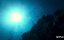    / Puff: Wonders of the Reef - 