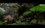        / Ranveer vs. Wild with Bear Grylls - 