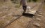 ��� ���� ����� / Des trains pas comme les autres - 8 �����, 2 ����� "�������� (Colombie) (26 ���� 2018)"