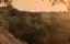   / The Kings of Summer - 